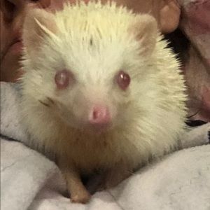 Meet your Posher, Jenny